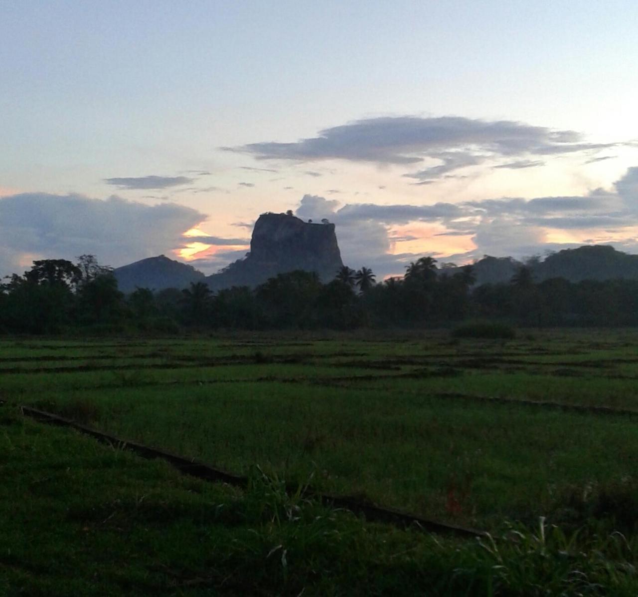 מלון Sigiriya Water Guest & View Point Restaurant מראה חיצוני תמונה